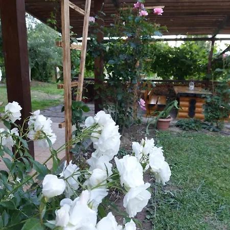 B&B Kolpinghaus Caransebeş