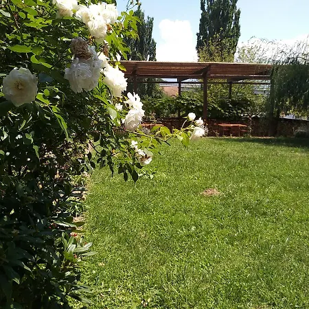 B&B Kolpinghaus 3*